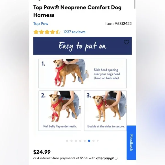 Dog Harness Neoprene - Picture 6 of 7